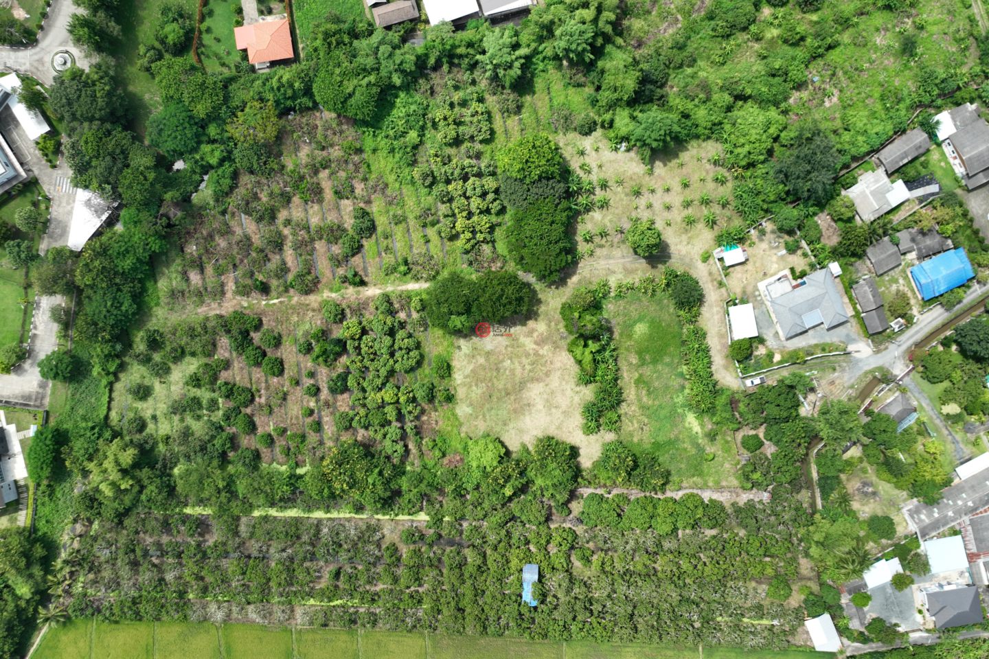 泰国Chang Wat Chiang MaiChiang Mai的住宅用地,Doi Saket District,编号76917077