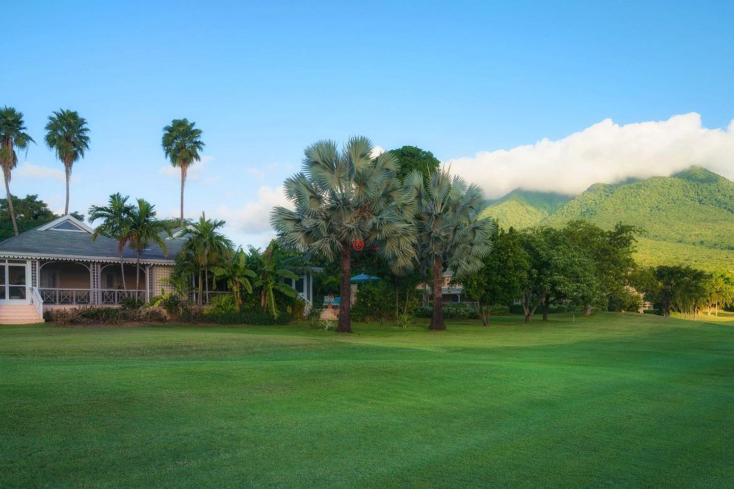 圣克里斯托弗和尼维斯岛NevisSt. Thomas Lowland的独栋别墅，Palm Grove - Villa 1419，编号77808992