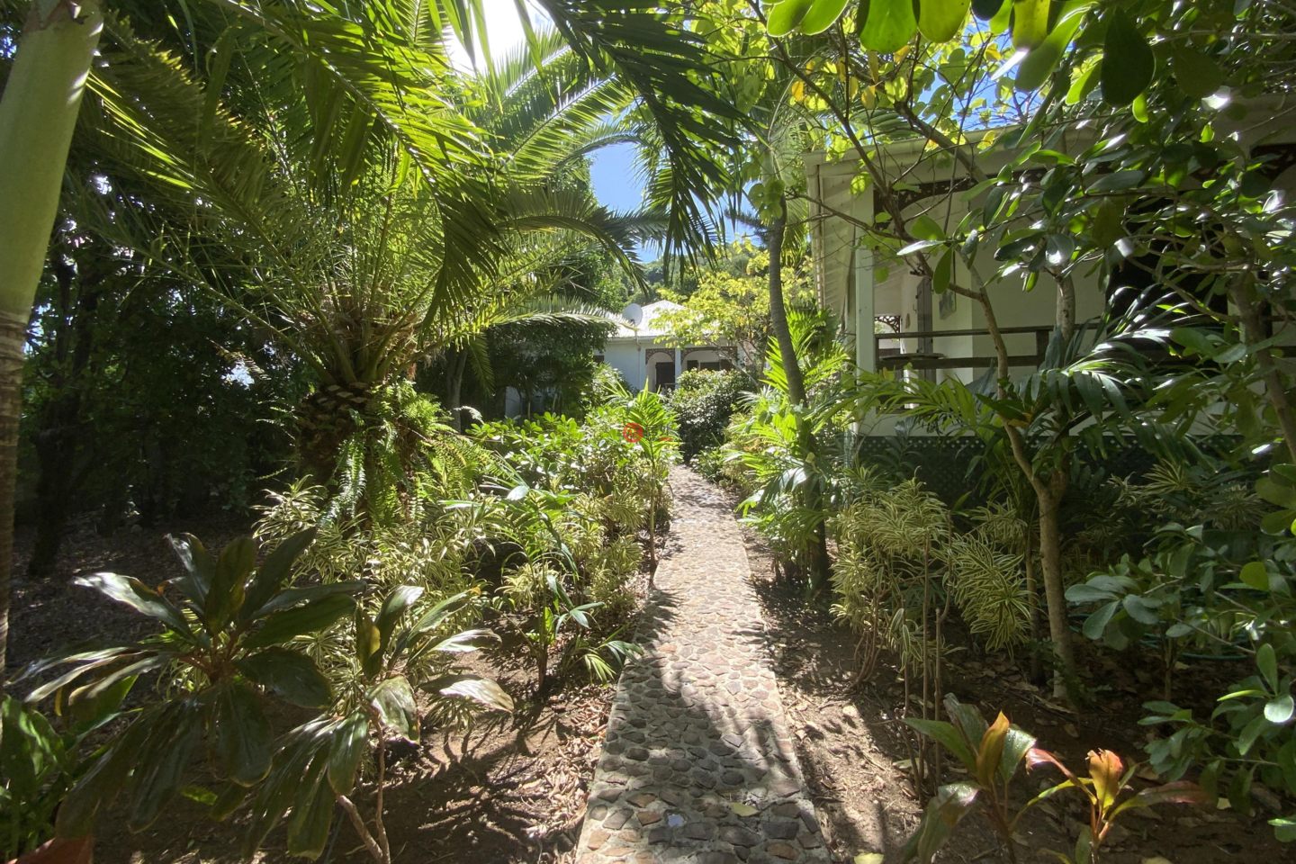 圣巴泰勒米岛的独栋别墅，Maison de Musique，编号76655193