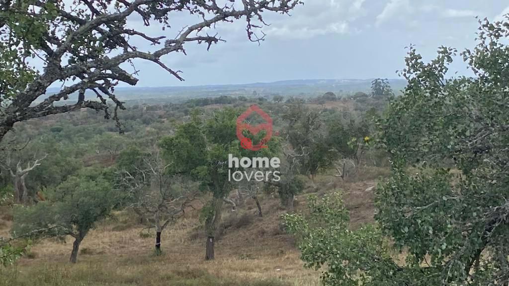 葡萄牙Santiago do Cacém的农业用地,编号78519640