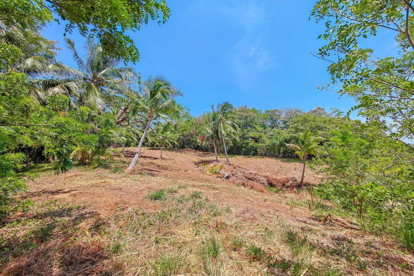 洪都拉斯海湾群岛Roatán的住宅用地，Beautiful Oceanfront Bluff Between West End & West Bay，编号78338279