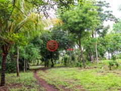 尼加拉瓜Masaya DepartmentMasaya的住宅用地，Finca Los Monos，编号71148962