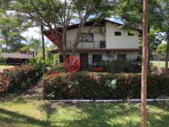 巴拿马科克莱El Chirú的商业用地，PANAMERICANA，编号71252964