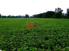 美国密歇根州萨吉诺的住宅用地，None TBD Garfield Road，编号78451010