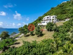 英属维尔京群岛的多单元，Cannon Point Villa，编号76553244
