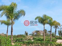 秘鲁伊卡El Carmen的独栋别墅，Sector Pozuelo Norte，编号78285118