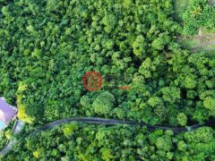 英属维尔京群岛的住宅用地，Havers St John View，编号76872562
