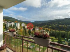 捷克Špindlerův Mlýn的公寓，Bedrichov 101，编号78162258