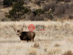 美国科罗拉多州多洛雷斯的住宅用地，None 25515 X Road，编号77061845