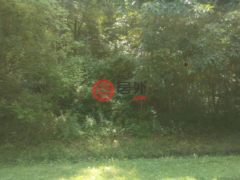 美国马里兰州Chestertown的农业用地，Cloquet Road，编号77173987