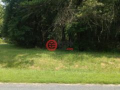 美国马里兰州Chestertown的农业用地，Cloquet Road，编号77173987