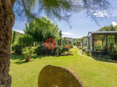 意大利SienaSan Gimignano的独栋别墅，Via San Gimignano，编号77405140