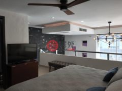 墨西哥金塔纳罗奥卡门海滩的公寓，10 Av. Sur，编号78524278