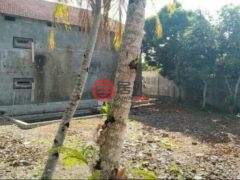 印尼Jawa TimurBanyuwangi的零售，编号54474825