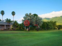 圣克里斯托弗和尼维斯岛NevisSt. Thomas Lowland的独栋别墅，Palm Grove - Villa 1419，编号77808992
