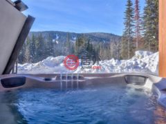 加拿大不列颠哥伦比亚省Sun Peaks的公寓，7005 MCGILLIVRAY LAKE，编号75529953
