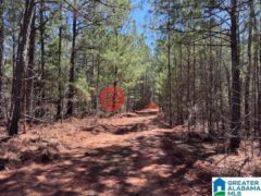 美国阿拉巴马州罗阿诺克的住宅用地，63 Ac. COUNTY ROAD 684，编号77510922