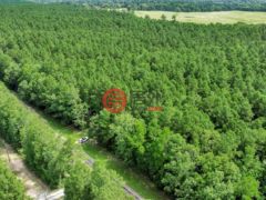 美国德克萨斯州拉夫金的住宅用地，5700 FM 2497，编号78442902