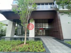 日本JapanTokyo的公寓，编号77948325
