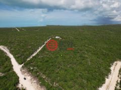 巴哈马的公寓，23 Acre Oceanview Parcel，编号78378458