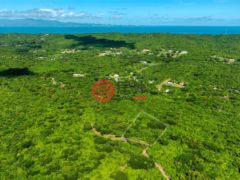 波多黎各Puerto RicoVieques的住宅用地，Lot 1 78 Puerto Ferro，编号76436230