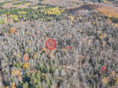 美国威斯康星州菲尔普斯的住宅用地，None Off HAWK SOUP LN，编号77773574