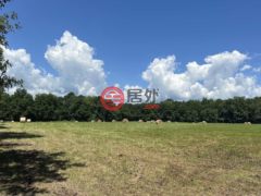 美国阿肯色州瑟西的公寓，编号78393492