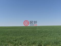 美国科罗拉多州阿克伦的农业用地，None 18755 Hwy 36，编号62535012