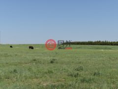 美国科罗拉多州阿克伦的农业用地，None 18755 Hwy 36，编号62535012