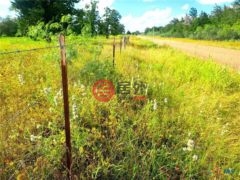 美国德克萨斯州Waelder的住宅用地，None 1825 Armstrong-Derry Road，编号77387883