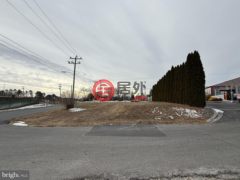 美国特拉华州Smyrna的农业用地，258 S Dupont Boulevard，编号76679892