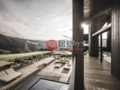 意大利特伦蒂诺阿迪杰Selva di Val Gardena的独栋别墅，编号71144670