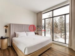 加拿大魁北克Estérel的公寓，39 Ch. Fridolin-Simard Apt. 206，编号69798918