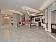 南非豪登省Steyn City的独栋别墅，Birdhide Lane 2，编号68752779