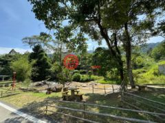 马来西亚彭亨Bentong的农业用地，4.6 Acres of Land in Janda Baik Bentong Pahang，编号78044451