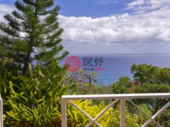 安提瓜/巴布达English Harbour的独栋别墅，Turtle Bay，编号77810485