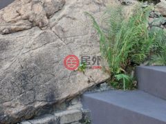澳大利亚昆士兰Townsville City的独栋别墅，273 Walker Street，编号77726883