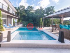 洪都拉斯海湾群岛Roatán的独栋别墅，Luxurious Zun Zun Residence Luna Beach Road，编号76643111
