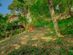 洪都拉斯海湾群岛Roatán的住宅用地，Beautiful West Bay Lot of 0.45 Acres with Ocean Views，编号77263658