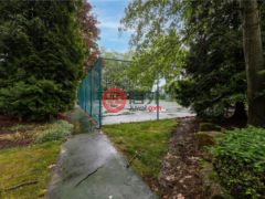 美国宾夕法尼亚州Somerset的农业用地，Lot 12 McKinley Drive，编号74487212