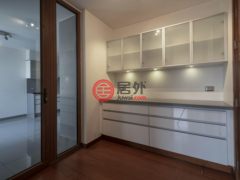智利SantiagoSantiago的公寓，Charles Hamilton 162246，编号45498976