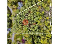 美国佛蒙特州哈特福德的农业用地，Lyman Batcheller Road #3094，编号73775618