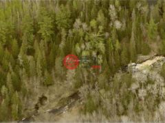 美国明尼苏达州Orr的住宅用地，None Tbd Willow River & Greaney Rd，编号77362544