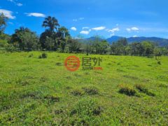 居外网在售哥斯达黎加Santa ElenaSanta Elena的住宅用地