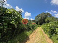 美国密西西比州列克星敦的住宅用地，None 1 Rockport Rd，编号78362220