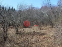 美国纽约州斯万莱克的住宅用地，None 927-943 Briscoe Road，编号77678491