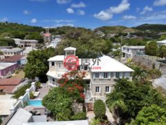 美属维京群岛克里斯琴斯特德的独栋别墅，101112 Strand Street Ch，编号78488101