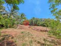 洪都拉斯海湾群岛Roatán的住宅用地，Beautiful Oceanfront Bluff Between West End & West Bay，编号78338279