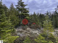 美国密歇根州Beaver Island的住宅用地，None TBD Mrs Reddings Trail，编号76637276