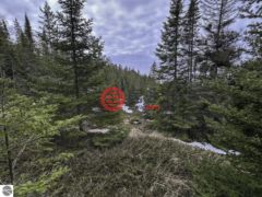 美国密歇根州Beaver Island的住宅用地，None TBD Mrs Reddings Trail，编号76637276